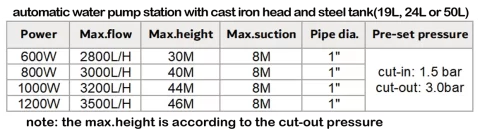 automatic_garden_pump_with_pressure_tank_cast_iron_performance